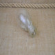Blendkorper 2 H german WWII smoke glass hand grenade body